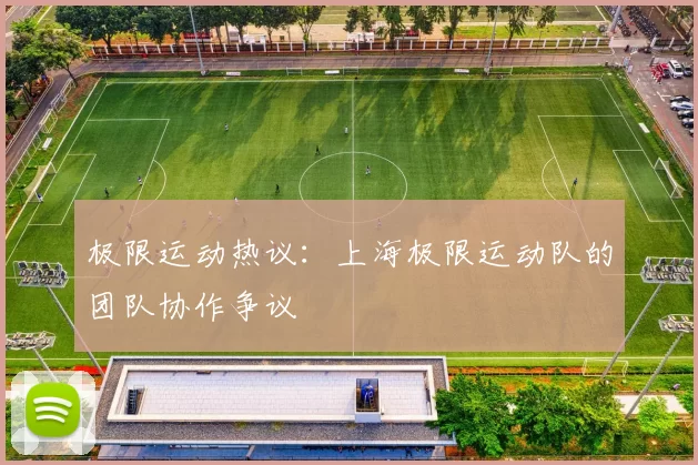 极限运动热议：上海极限运动队的团队协作争议