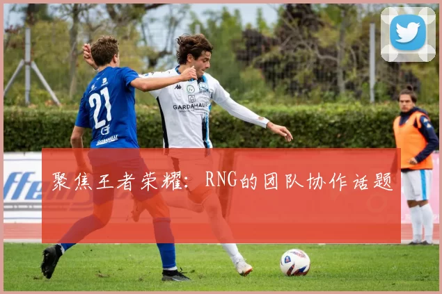 聚焦王者荣耀：RNG的团队协作话题