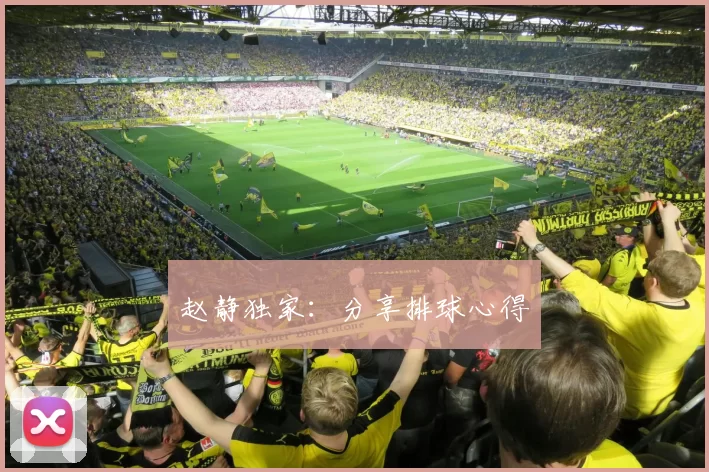 赵静独家：分享排球心得