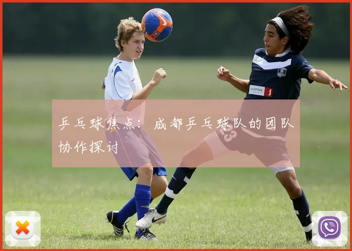 乒乓球焦点：成都乒乓球队的团队协作探讨