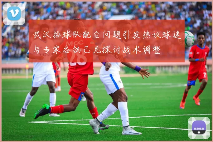 武汉排球队配合问题引发热议球迷与专家各执己见探讨战术调整