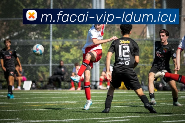 MK体育APP 高清赛事图